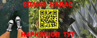 ECSTASY Кунгур