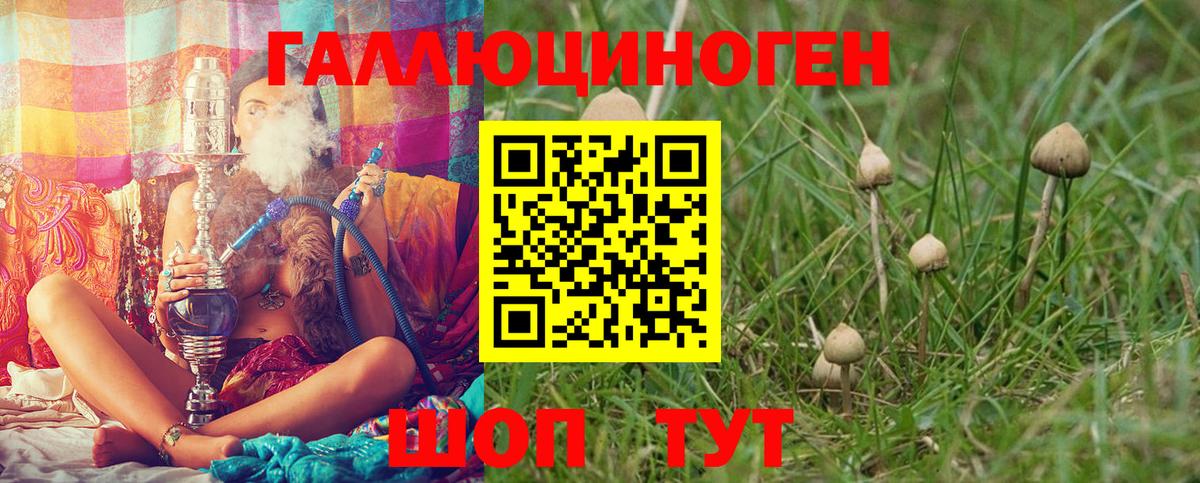 закладки  Псилоцибиновые грибы Psilocybine cubensis  Вход с VPN  Армавир  Галлюциногенные грибы ЛСД 