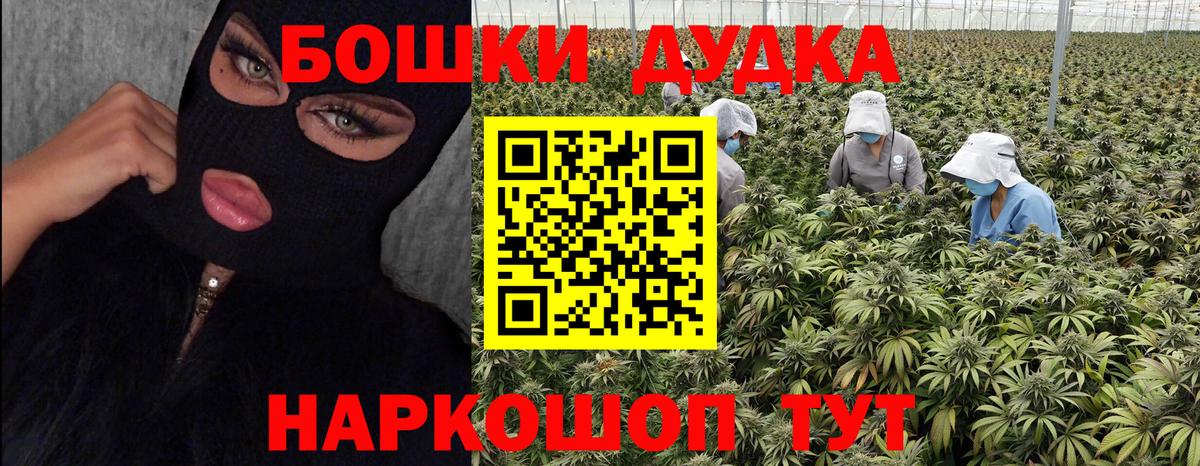 Армавир  Конопля Bruce Banner  Бошки Шишки индика  Вход с VPN  Бошки Шишки SATIVA & INDICA 